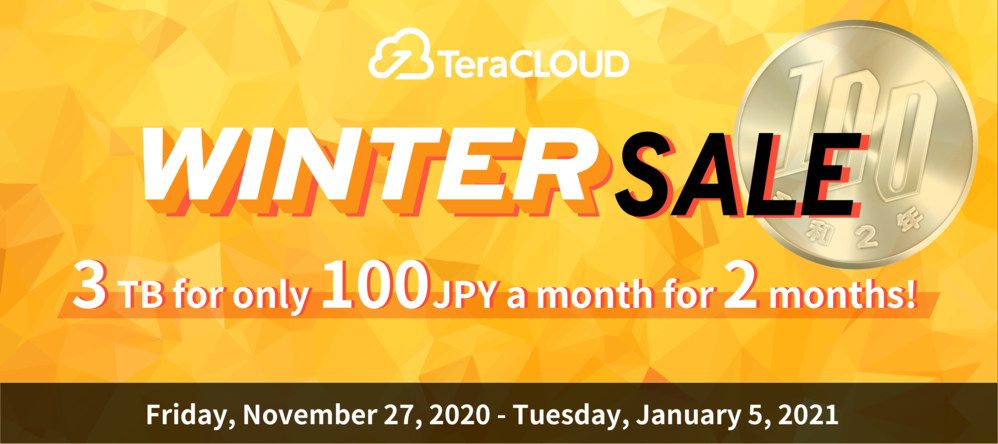 TeraCLOUD2020wintersale