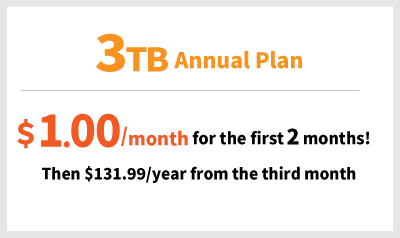 annual_plan.png