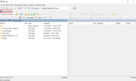 WinSCP Step 2. Set the session- Click New Session.png WinSCP Step 2. Set the session- Click New Session.png