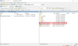WinSCP Step 3. Upload is complete.png WinSCP Step 3. Upload is complete.png