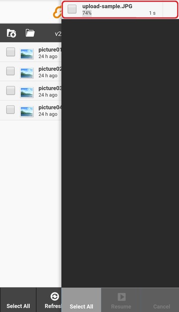 Check the upload status