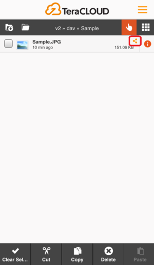 In the directory listing