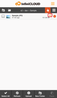 Shared file in list Shared file in list