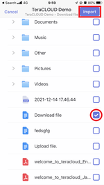 The download will begin