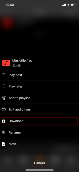 Download selected file