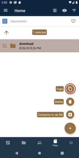 Tap the Copy icon
