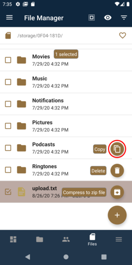Tap the Copy icon