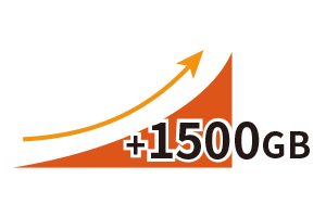 Long Term Bonus