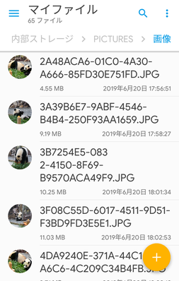 ローカルファイルを表示 ローカルファイルを表示